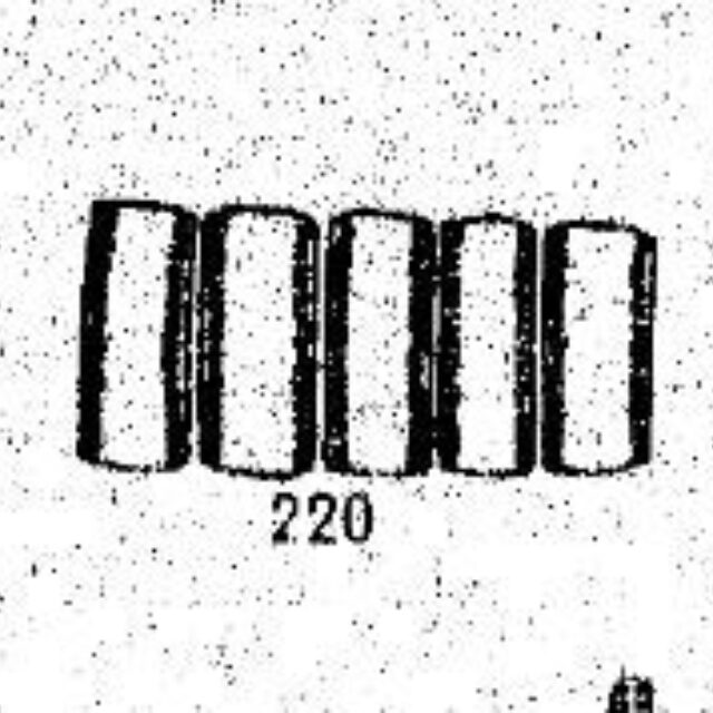 Pseudostaurosira brevistriata var inflata original illustration