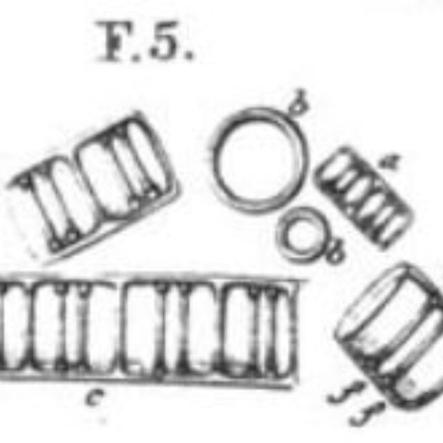 Aulacoseira distans orig illus