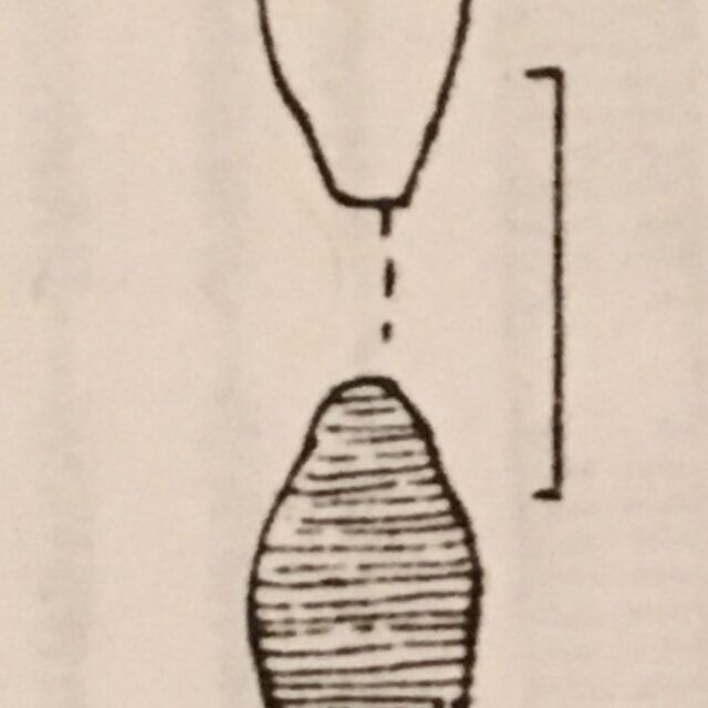 Frag Polygonata Type