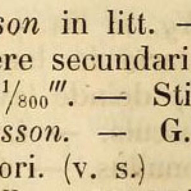 Gomphonema Fibula Orig Desc Species Algarum P65