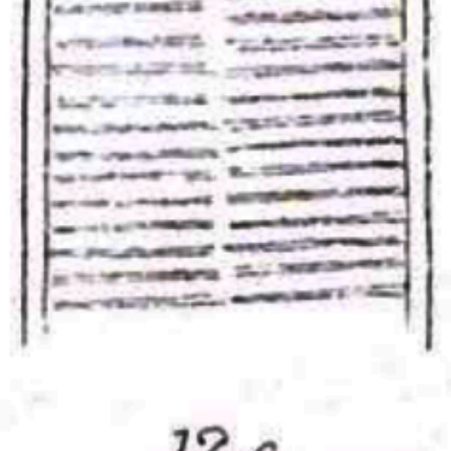 Grunow 1877 line2