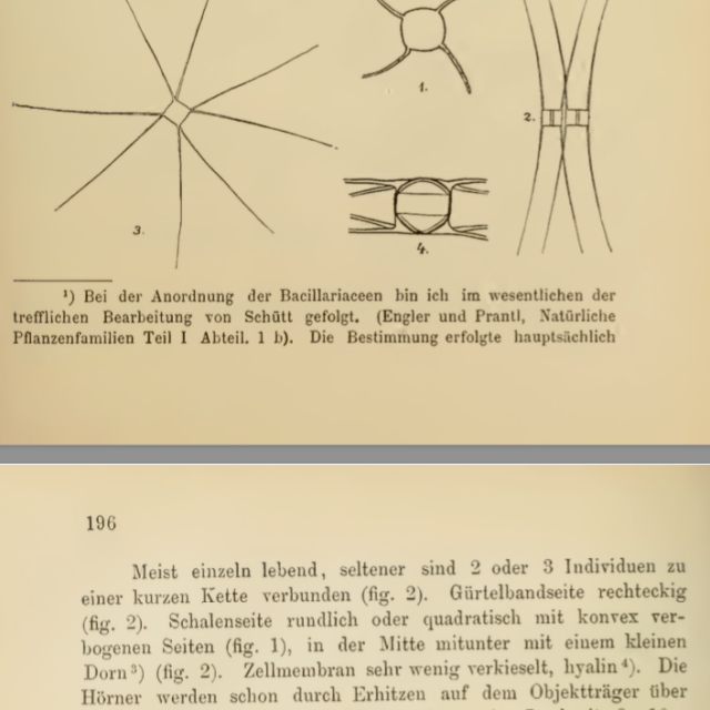 Screen  Shot 2017 07 03 At 4 21  09  Pm