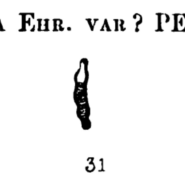 Eunotia tridentula var. perpusilla orig illus
