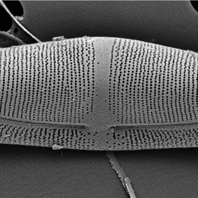 ME 10011unfiltered 041918 Mix 004