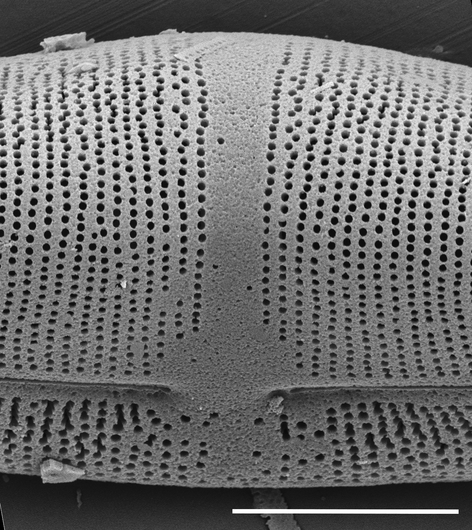 ME 10011unfiltered 041918 Mix 006