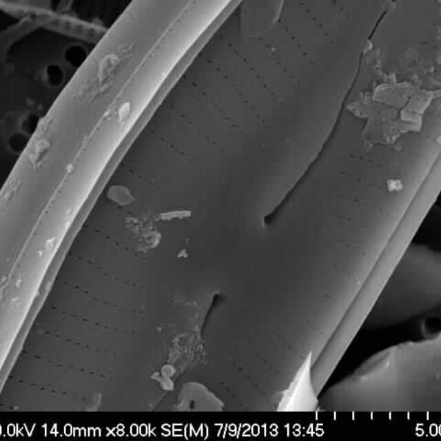 Q0143  S 4700  Jim  Driver  Bahls 5025  C Sp 5